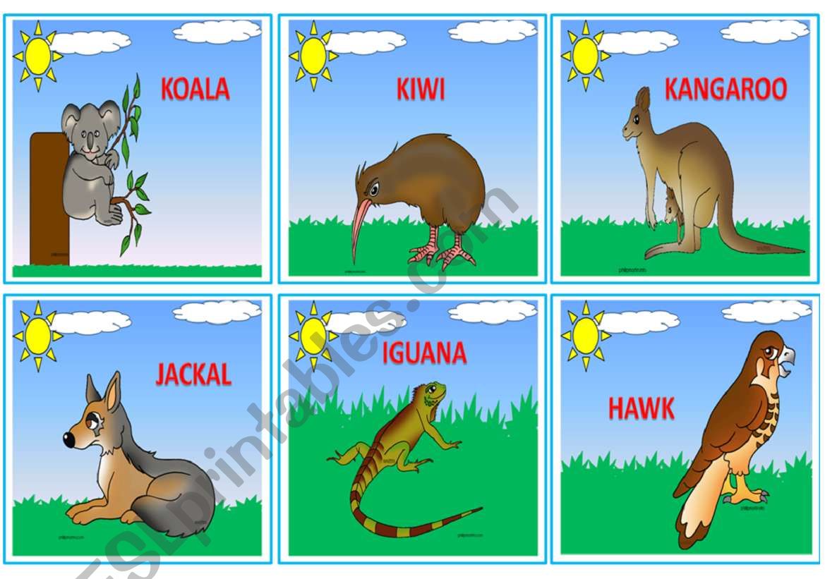 --- WILD ANIMALS --- FLASHCARDS 3/3