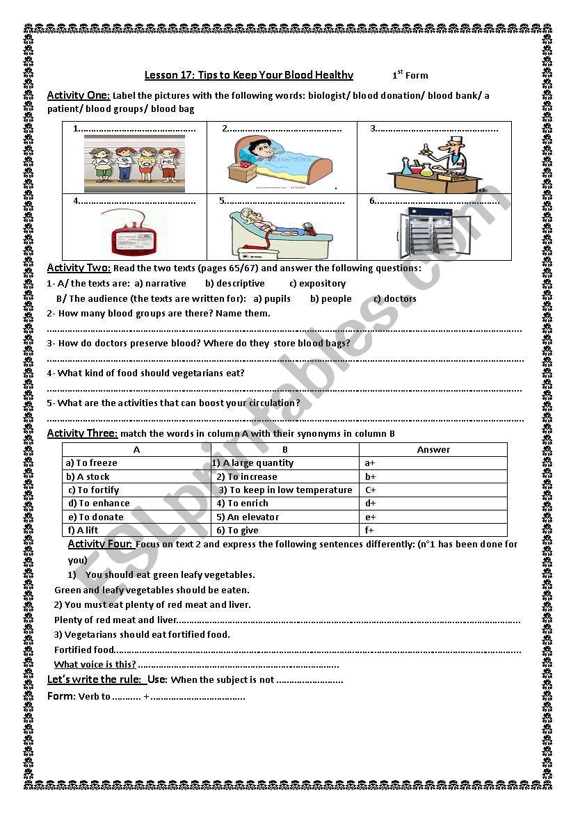 lesson 17: How to keep your blood healthy.