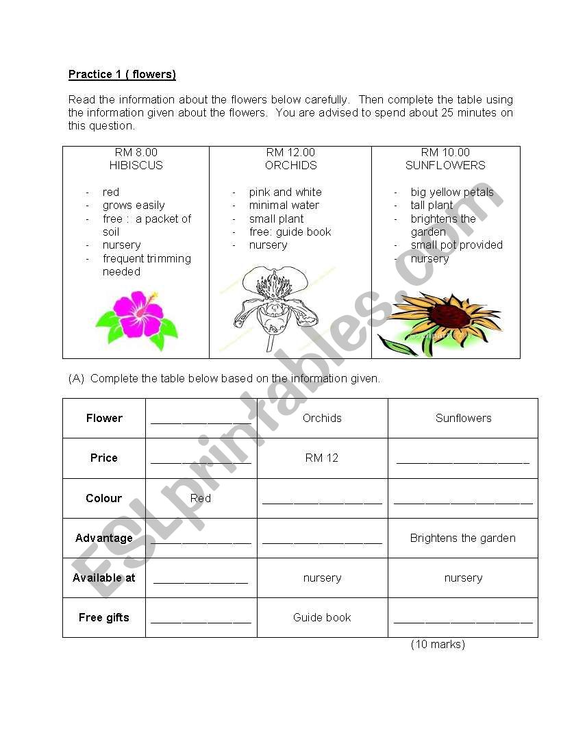 English: Information Transfer worksheet