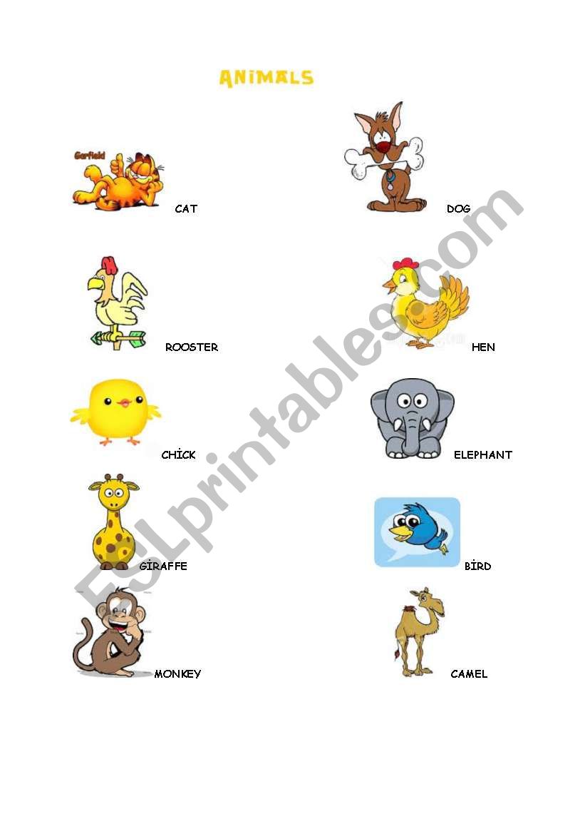 lovely animals worksheet