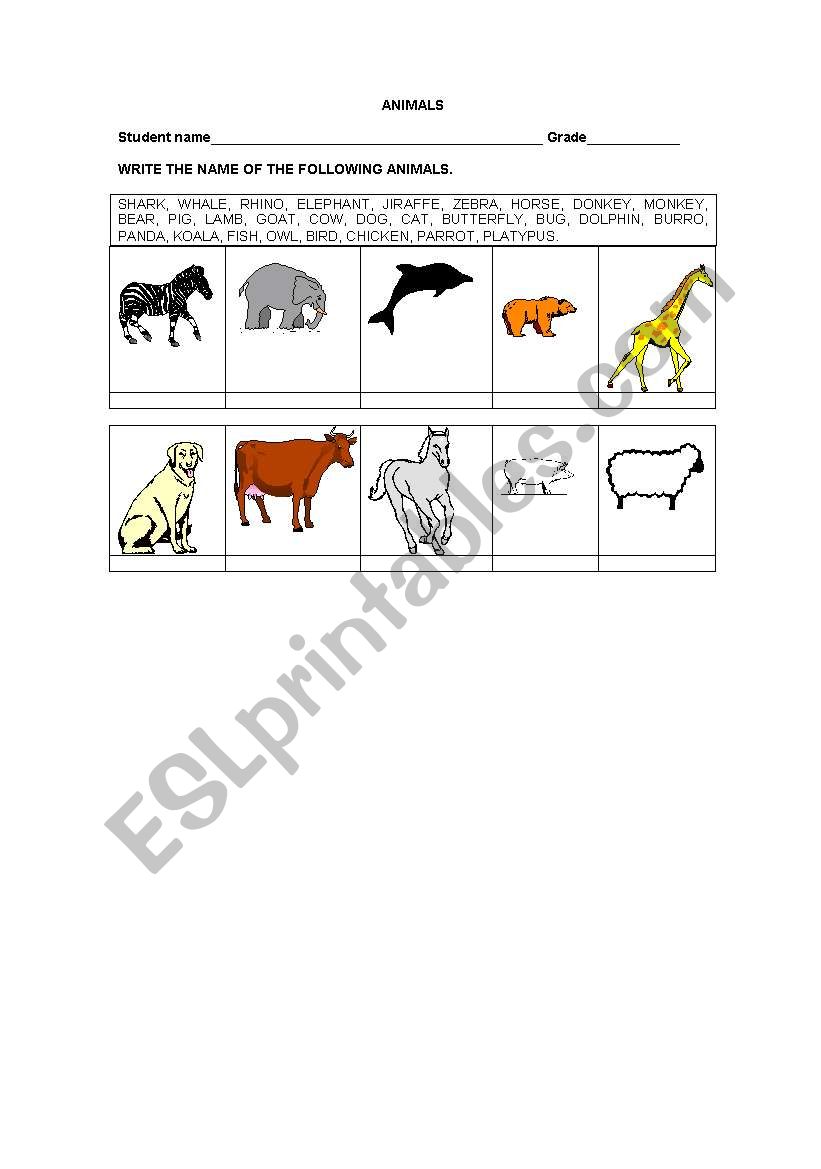 Animals worksheet