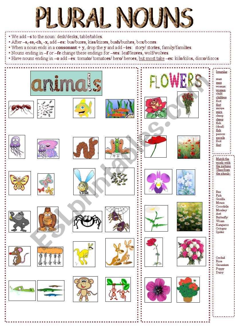 Plural Nouns (animals and flowers) - ESL worksheet by anareb