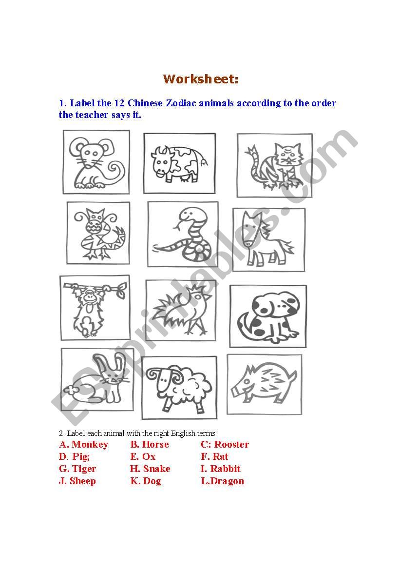 Animal Worksheet worksheet