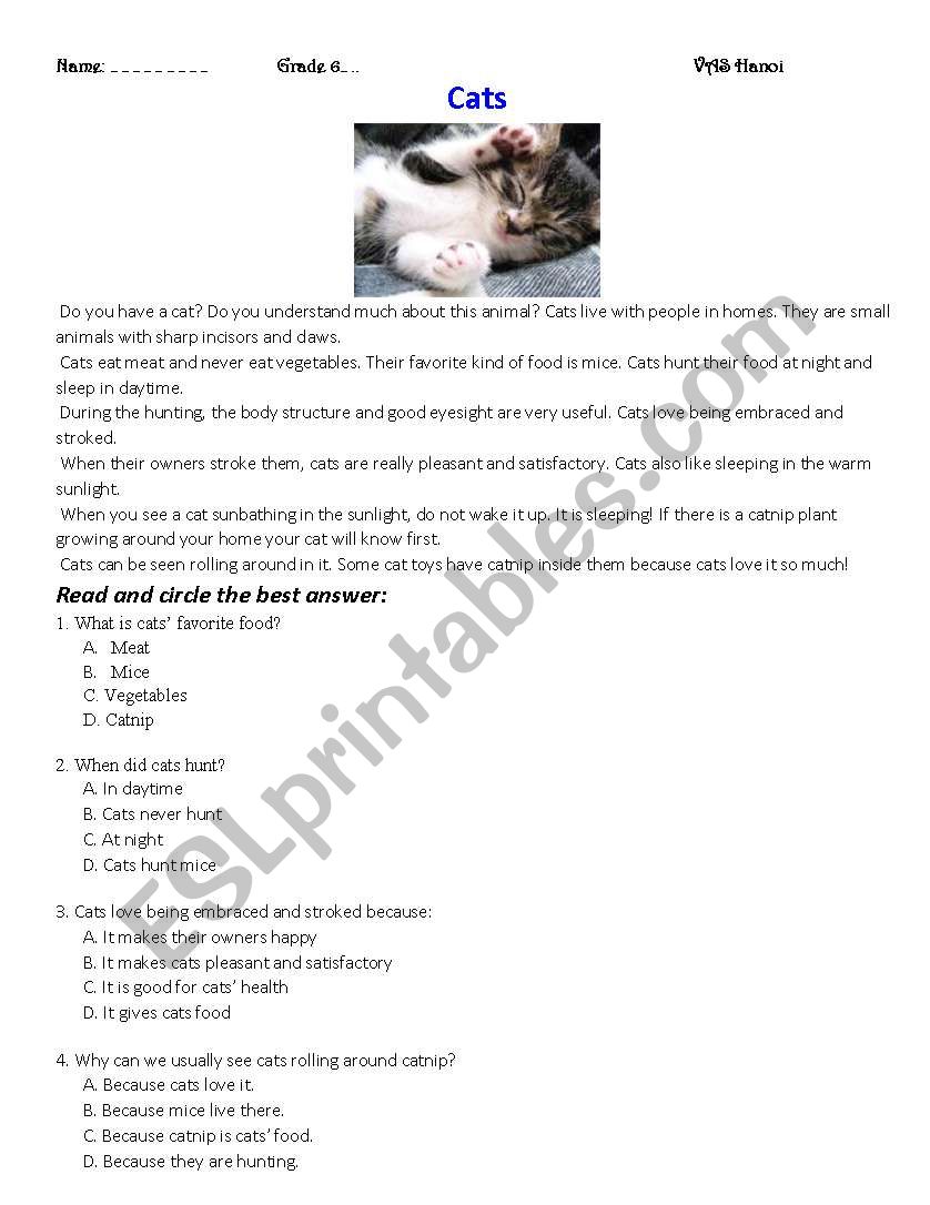 cats worksheet