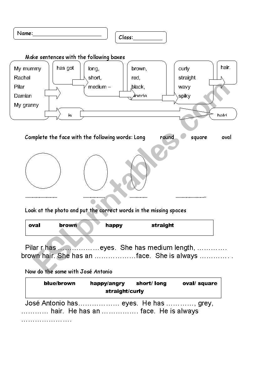 3rd person description worksheet