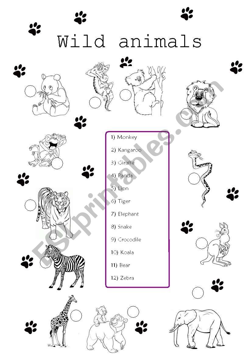 wild animals worksheet