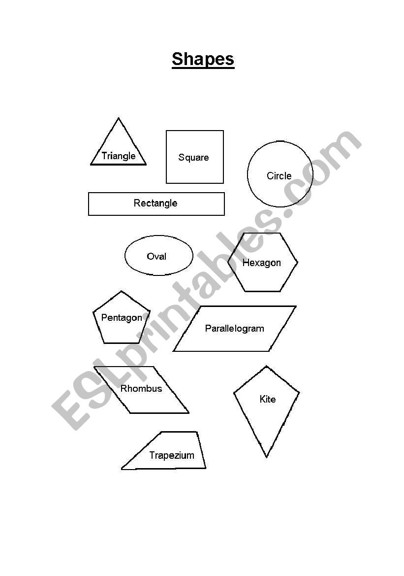 2D Shapes worksheet