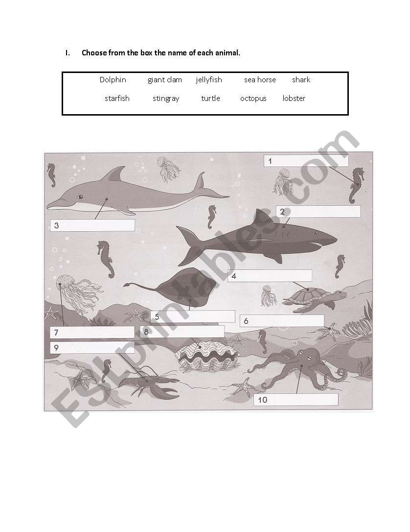 Sea Animals worksheet