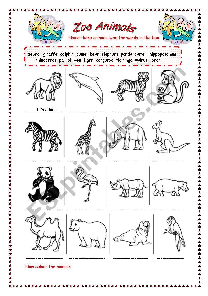 animals worksheet