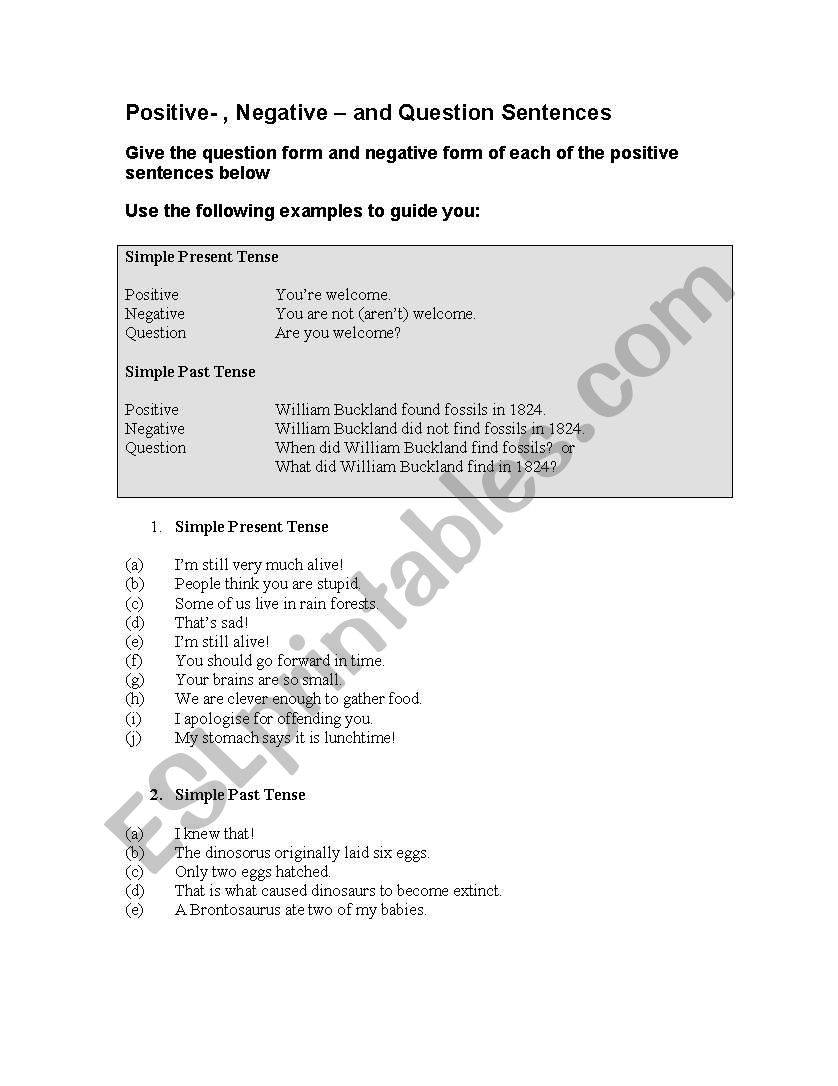 Positive- , Negative – and Question Sentences Positive- , Negative – and Question Sentences