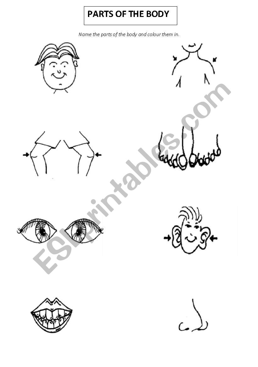 Parts of the Body worksheet