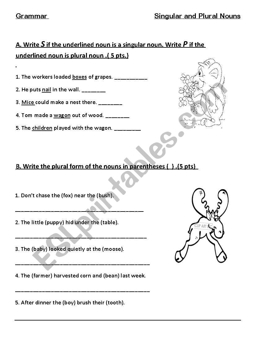 singular and plural nouns worksheet