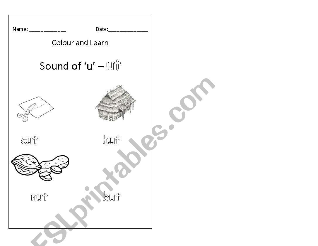 CVC- u words worksheet