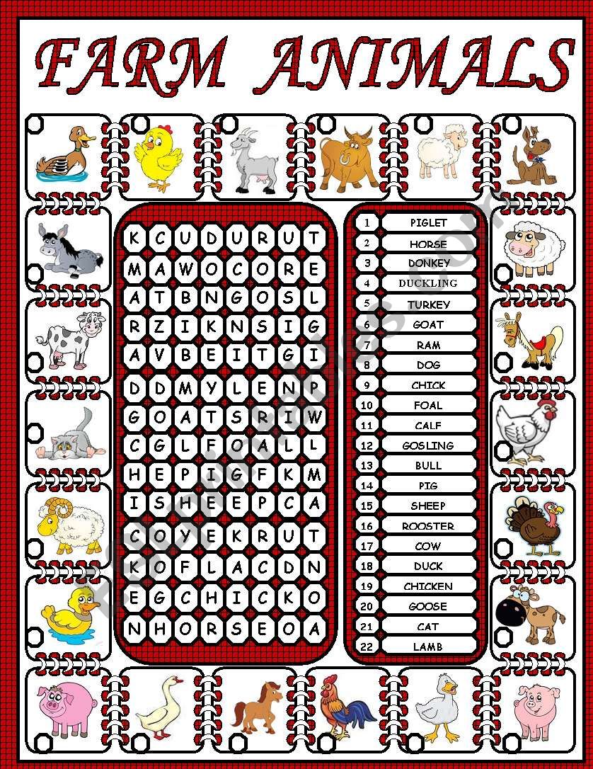 farm animals worksheet