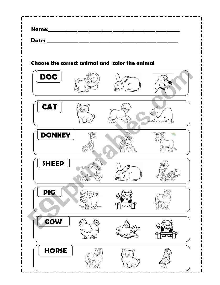 animals worksheet