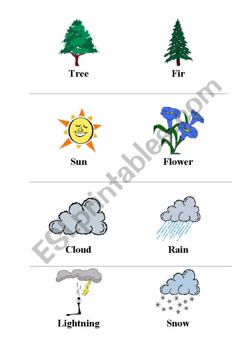 Nature worksheet