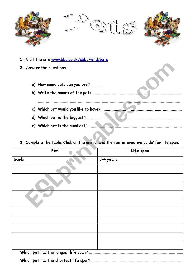 andreiamendes worksheet