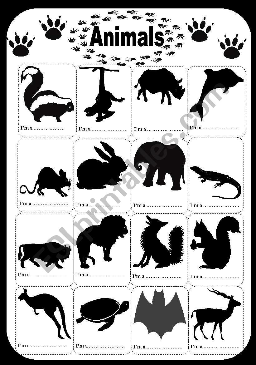 animals worksheet