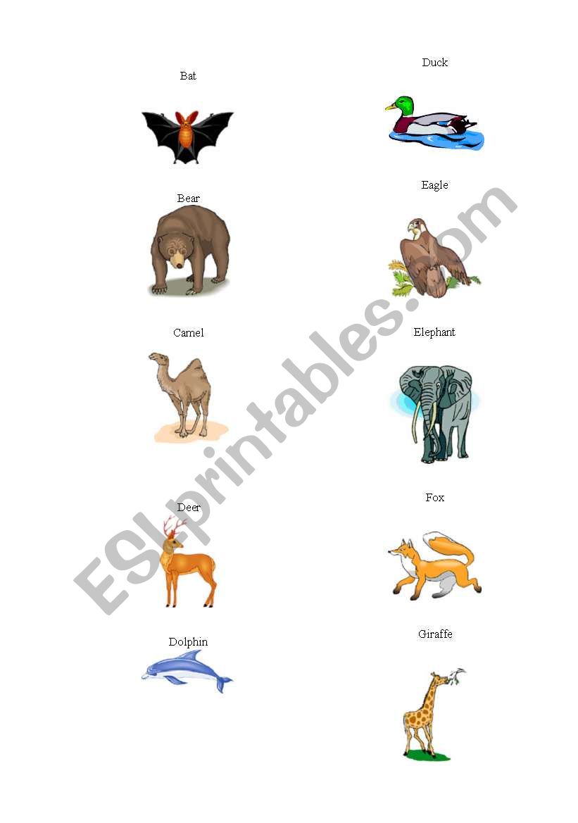 Animals worksheet