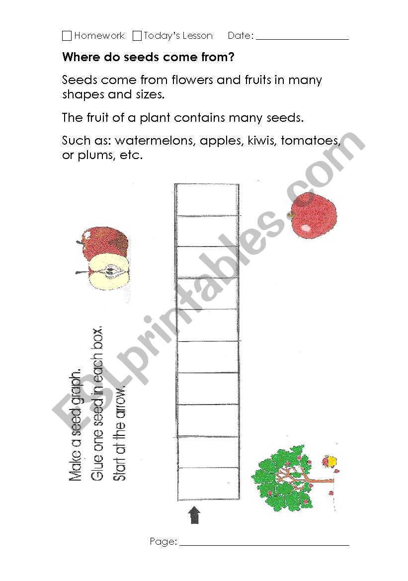 What are seeds worksheet