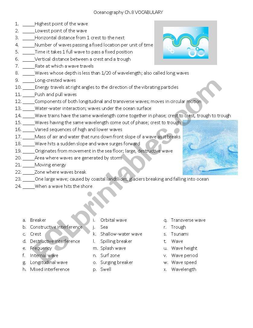 Oceans Wave Vocab worksheet