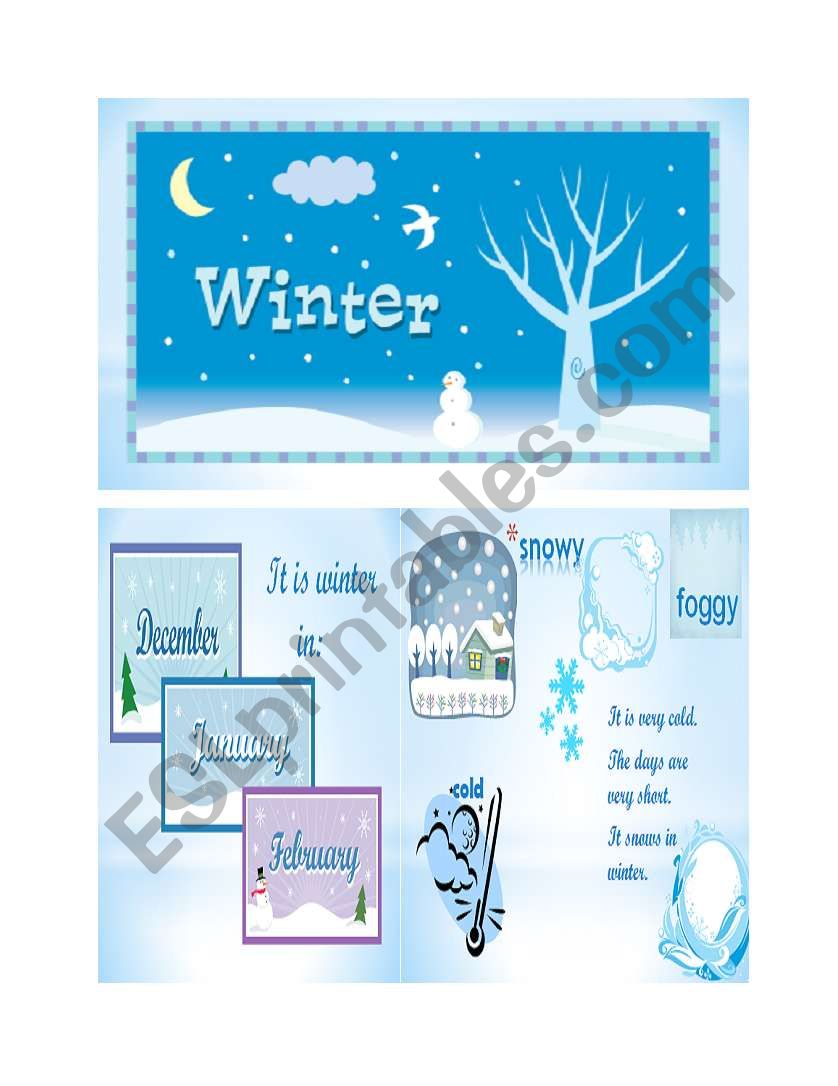 Winter worksheet