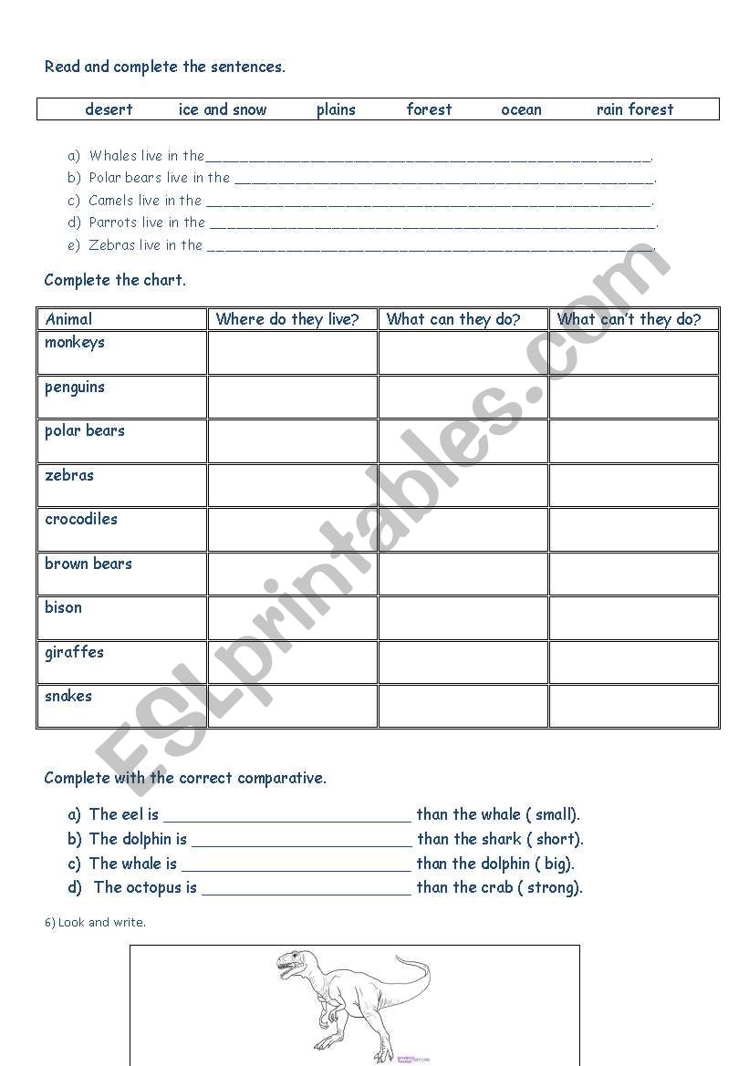 Animals around the world worksheet