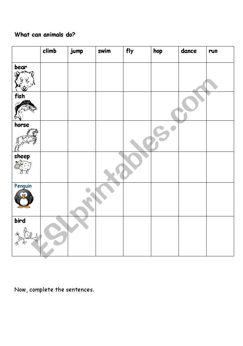 What can animals do? worksheet
