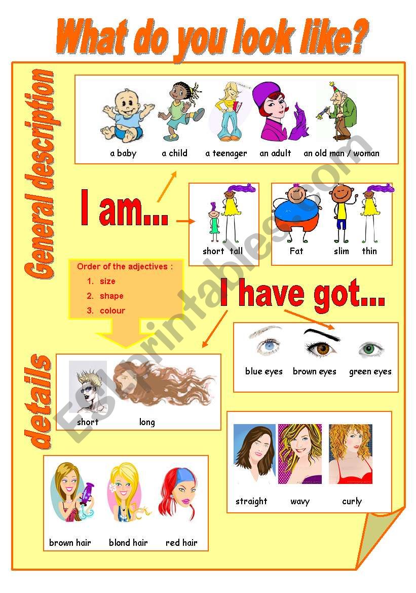 WHAT ARE YOU LIKE? worksheet