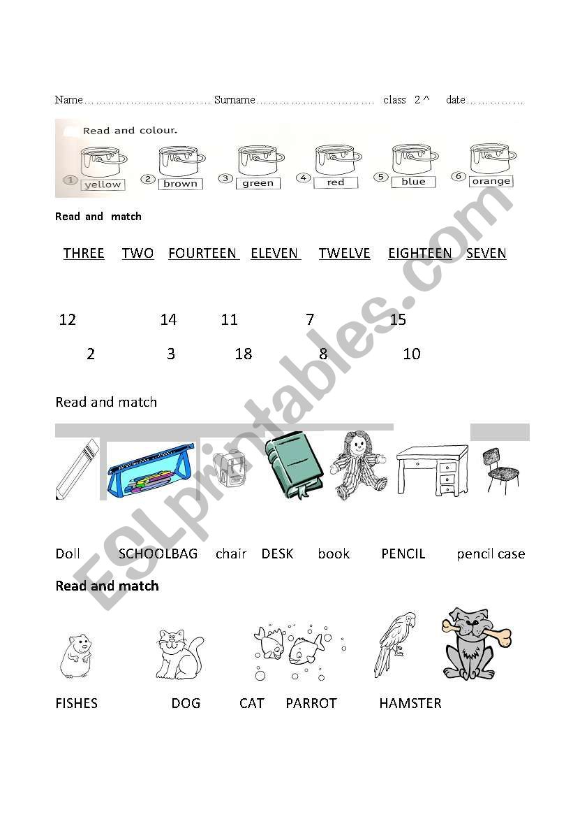 test about school  number  colour  pets