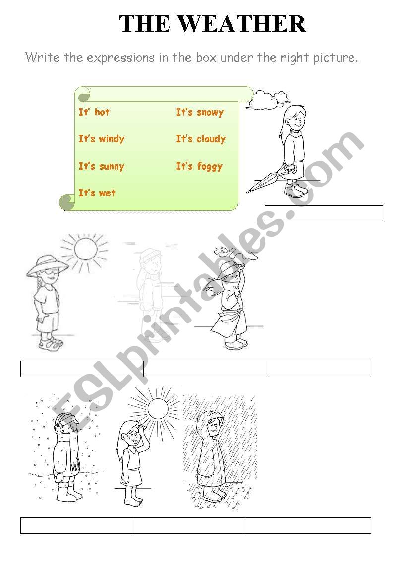 The weather worksheet