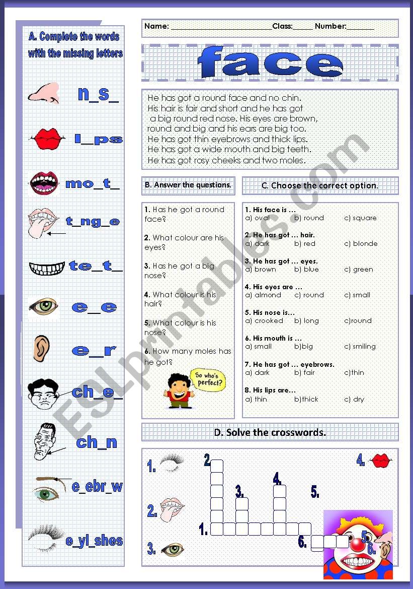 face (03.01.12) worksheet