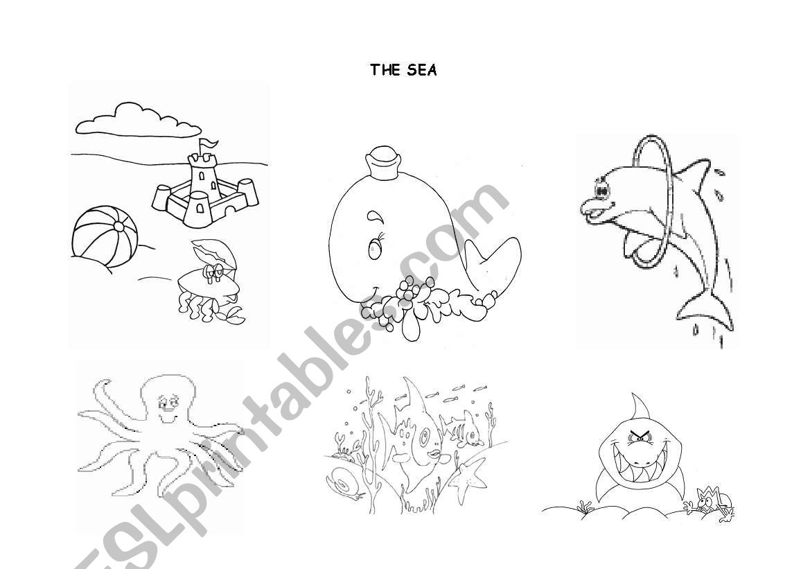 The Sea worksheet