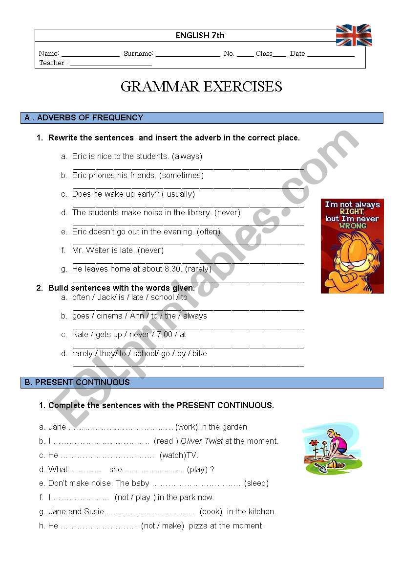 grammar  worksheet worksheet