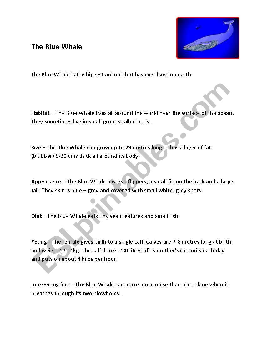 The Blue Whale worksheet
