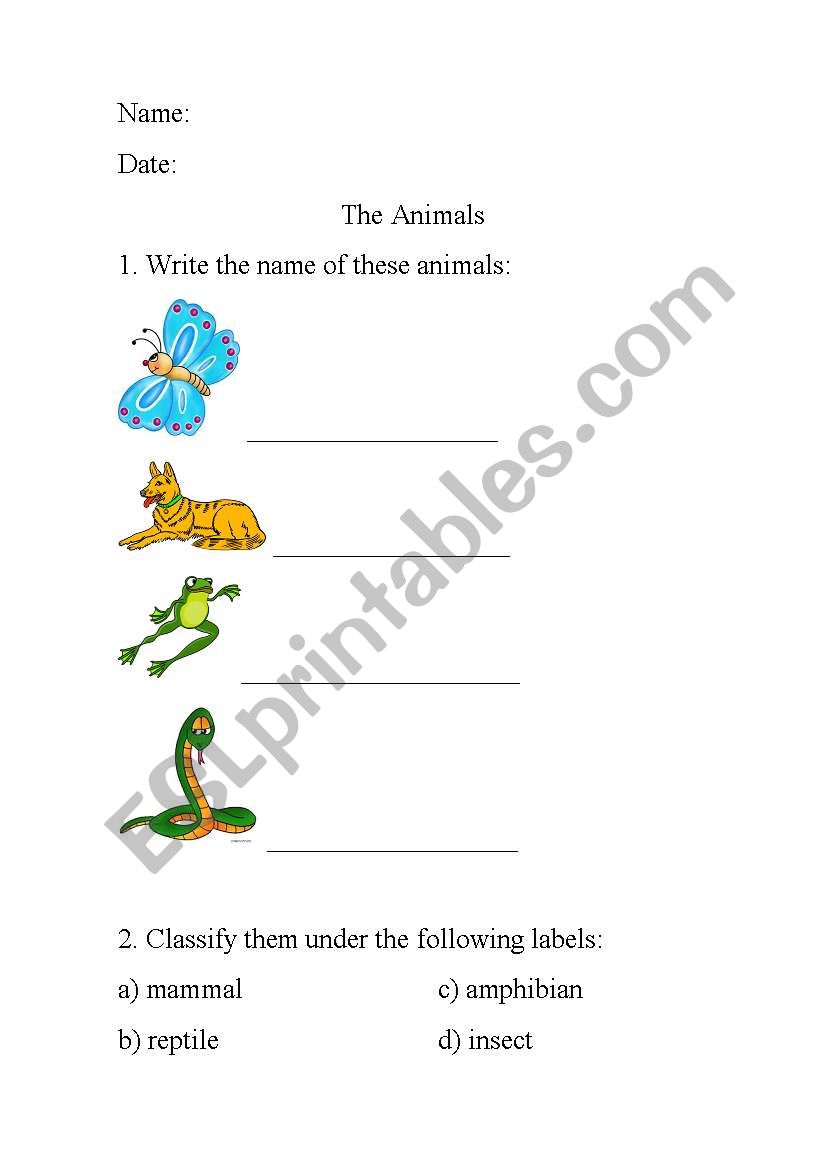 Animals worksheet