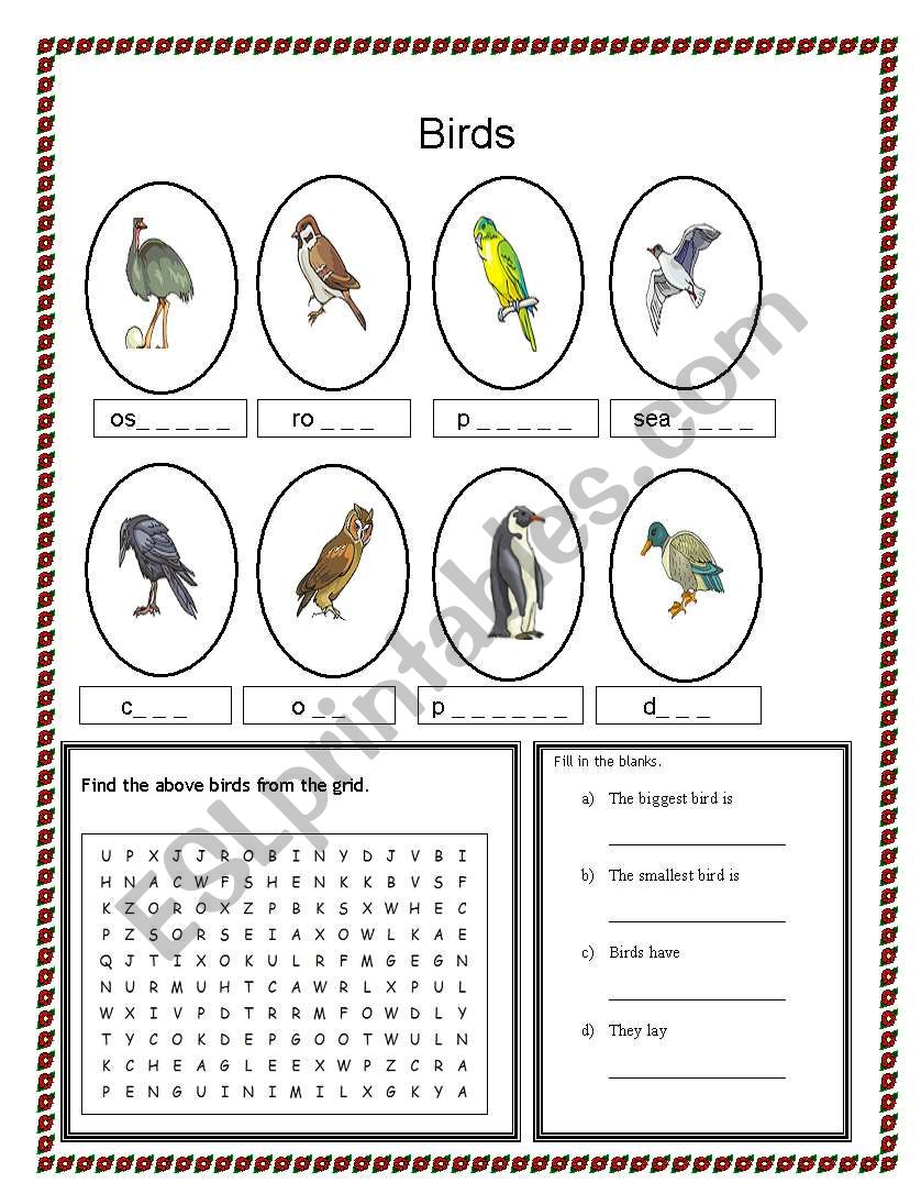 birds part 2 worksheet