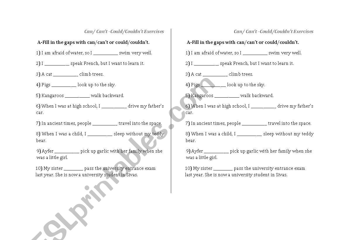 can/could worksheet