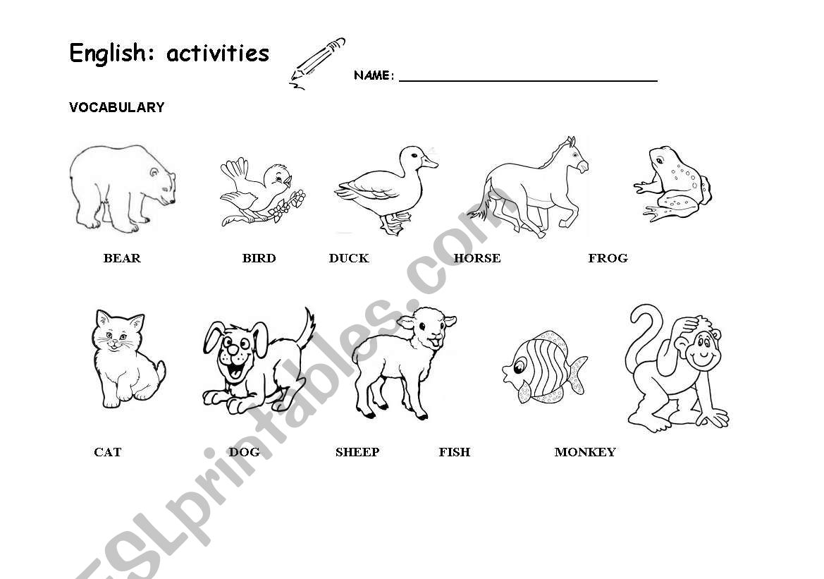 Brown bear vocabulary worksheet