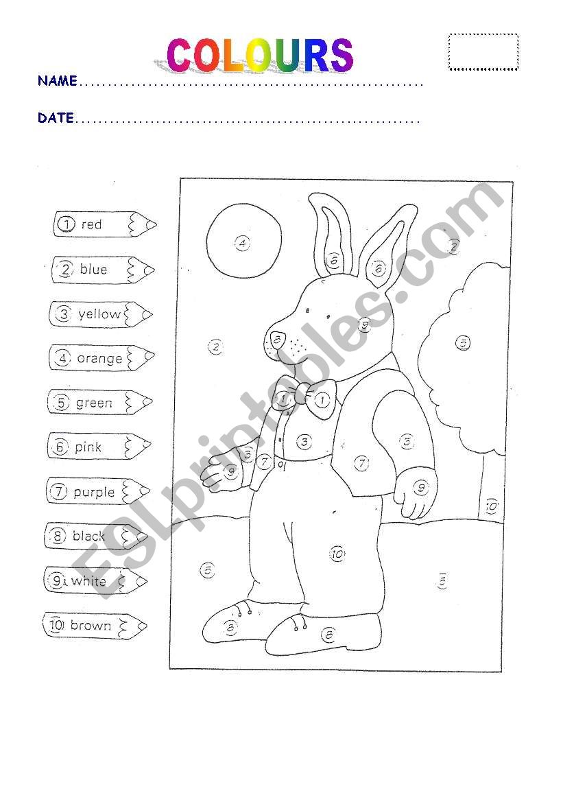 A NICE RABBIT worksheet