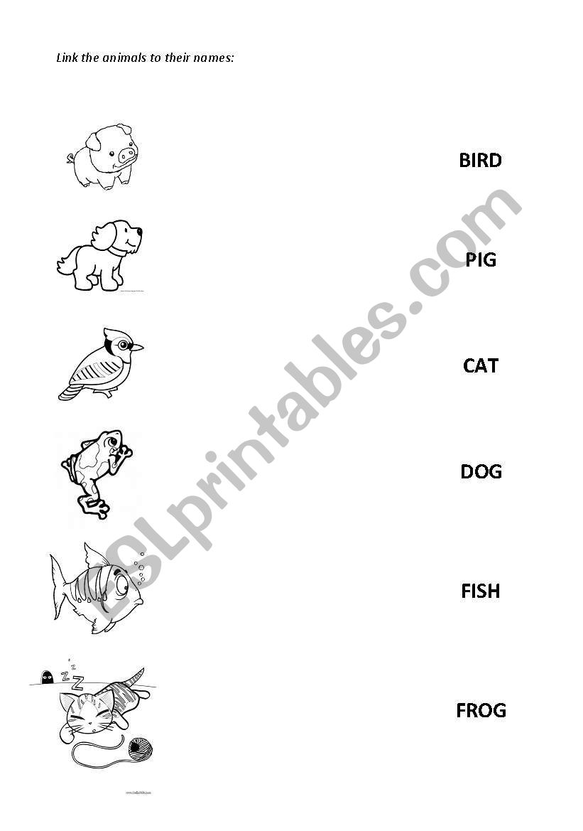 linking animals kids worksheet