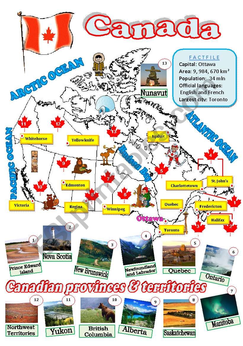 A map of Canada worksheet