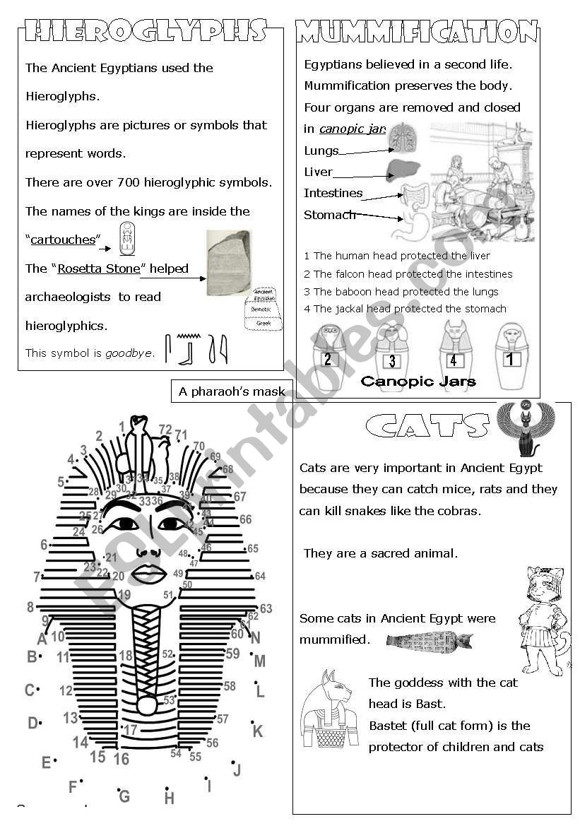 Hierogliphics - mummification - cats