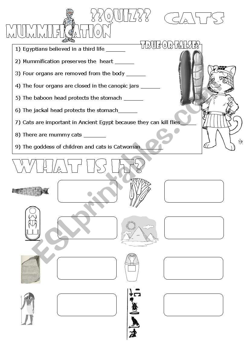 Quiz mummification and cats worksheet