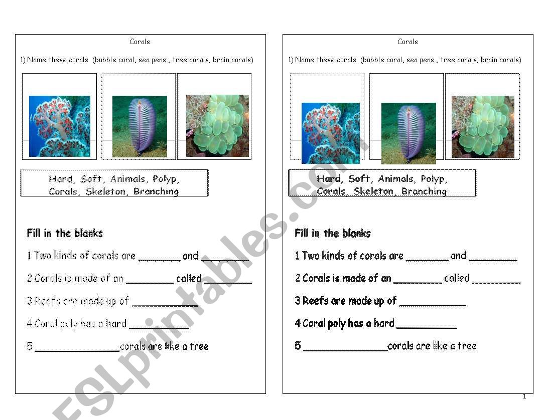 coral worksheet