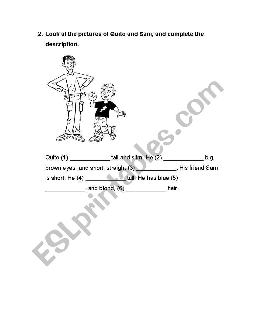 description worksheet