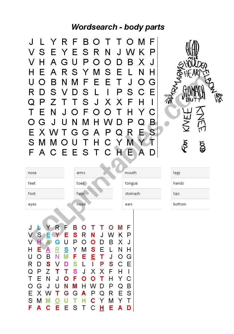 Word search - body parts worksheet