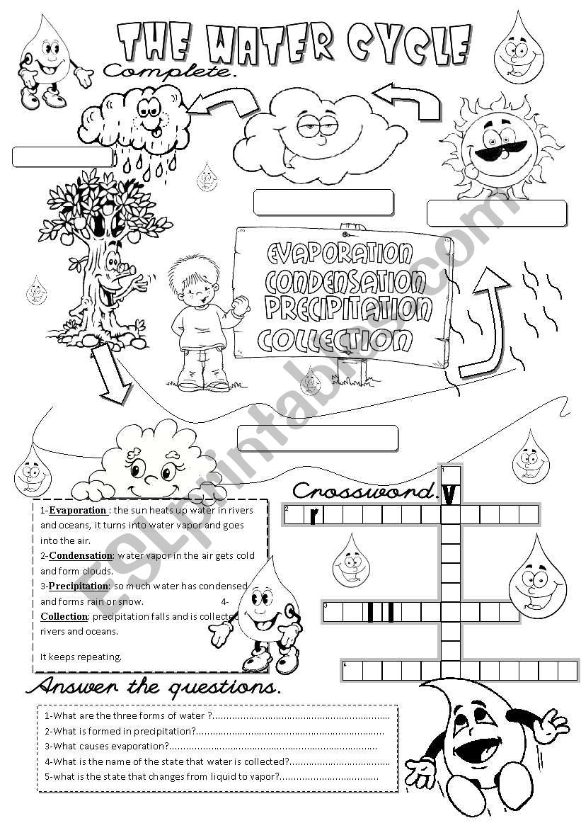 the water cycle worksheet