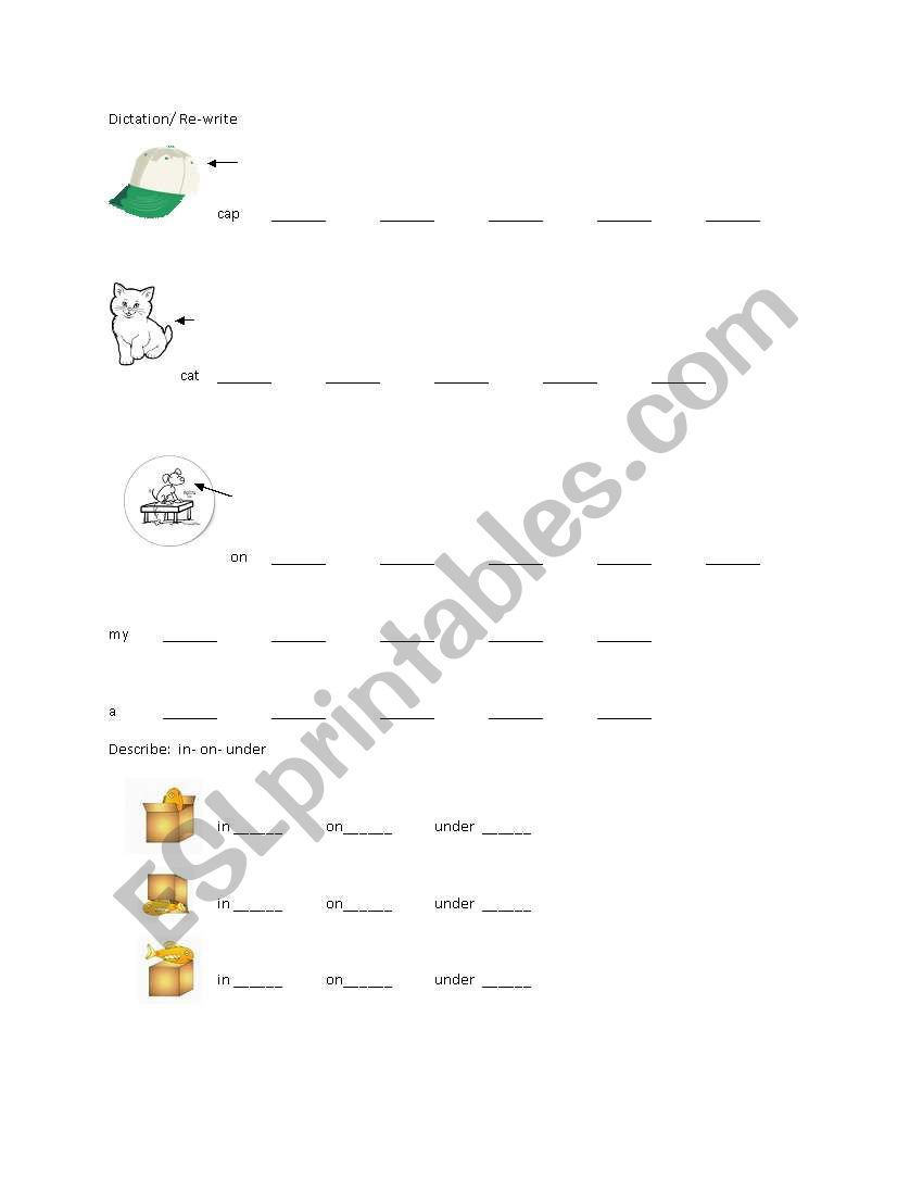 Dictation Overview- In On Under Excersice