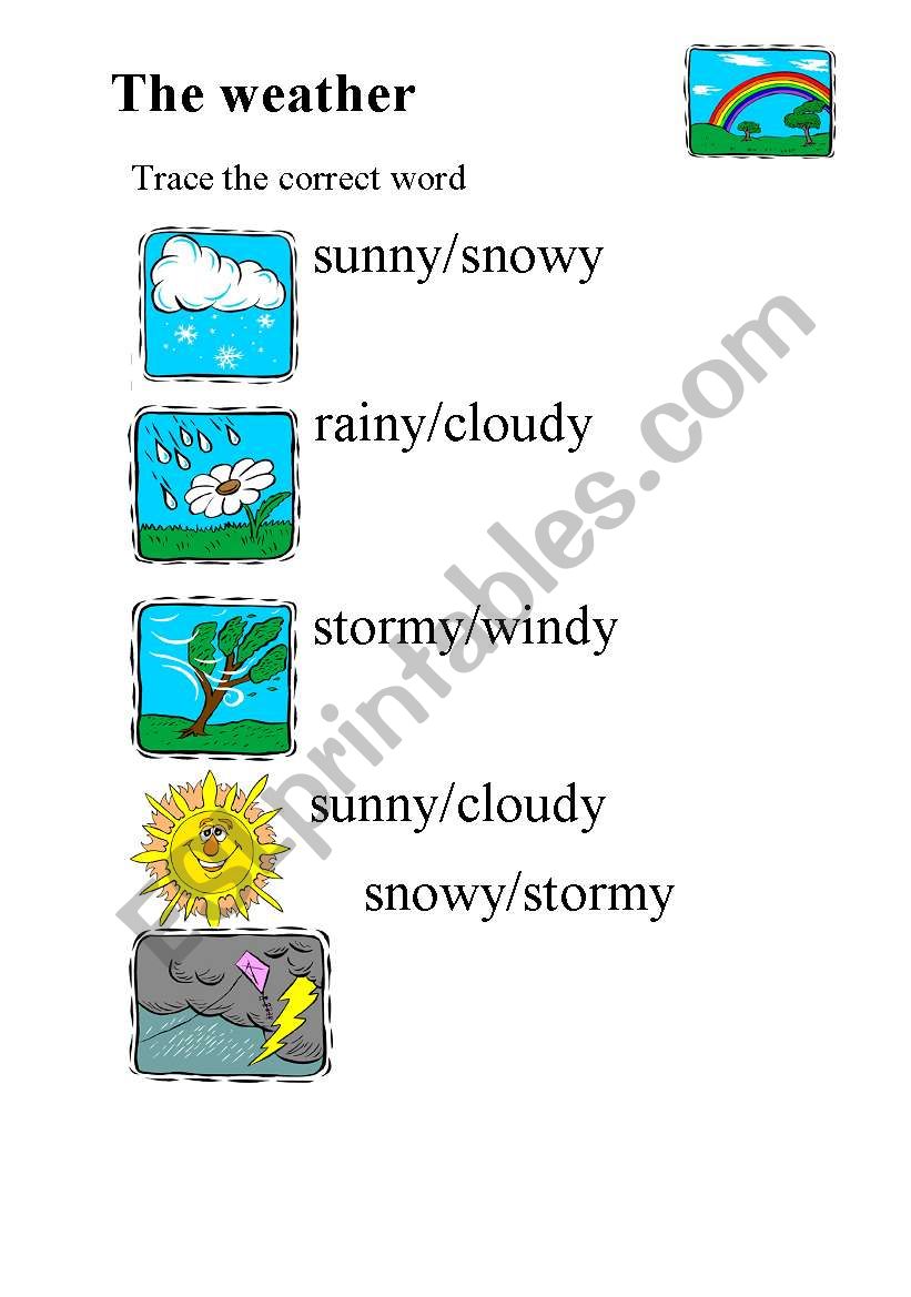 Weather worksheet